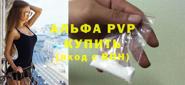 прущие грибы Пролетарск
