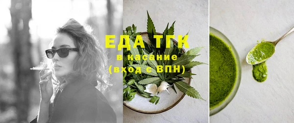 индика Приозерск