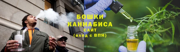 шишки Баксан