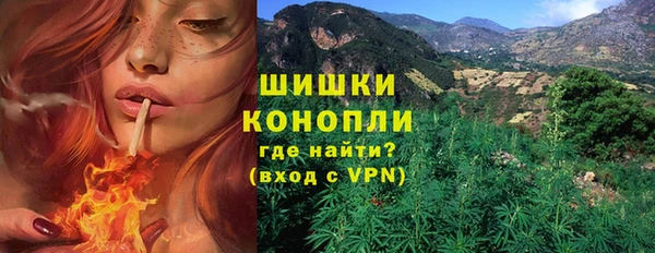шишки Баксан