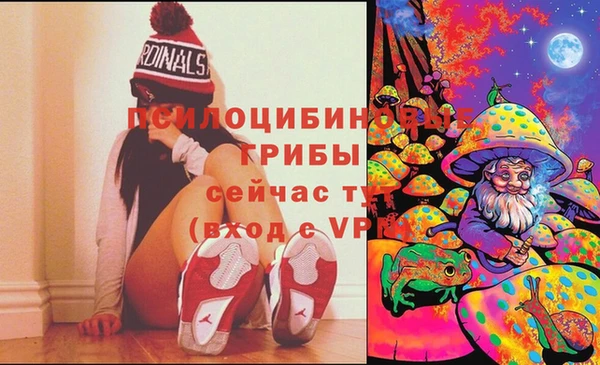 шишки Баксан